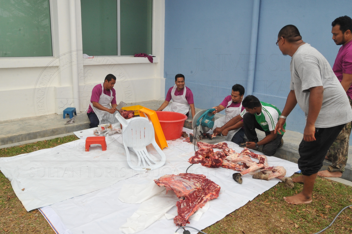 PRO15 150 KORBAN HAS 6878